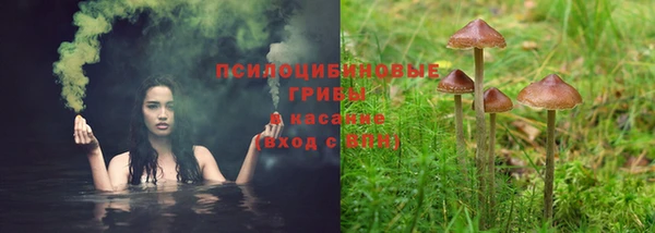 скорость Осинники