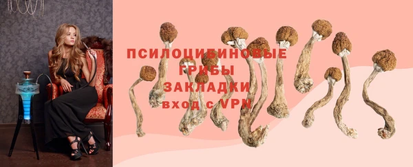 индика Аркадак
