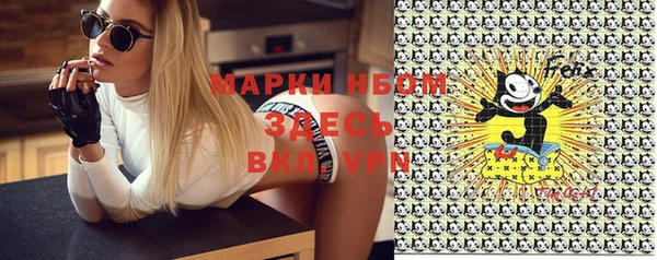 индика Аркадак
