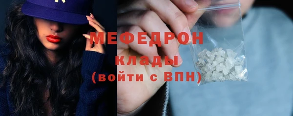 индика Аркадак