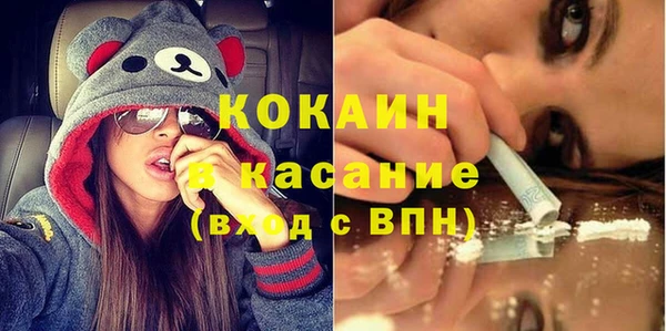 индика Аркадак