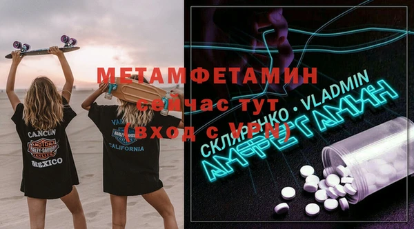 индика Аркадак
