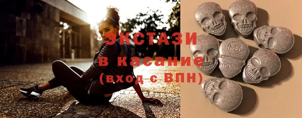 индика Аркадак