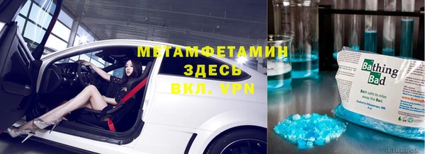 индика Аркадак