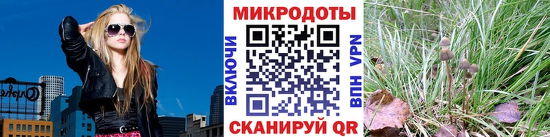 площадка какой сайт  Арсеньев  Псилоцибиновые грибы GOLDEN TEACHER 